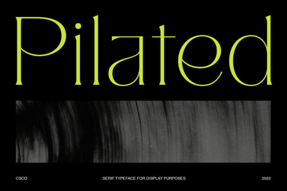 Pilated-Modern-Serif-Typeface-Fonts